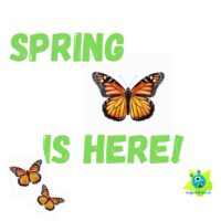 Spring is here - prezentacja